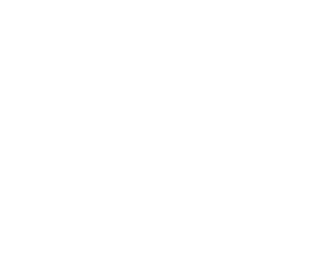 Intelligent Machines